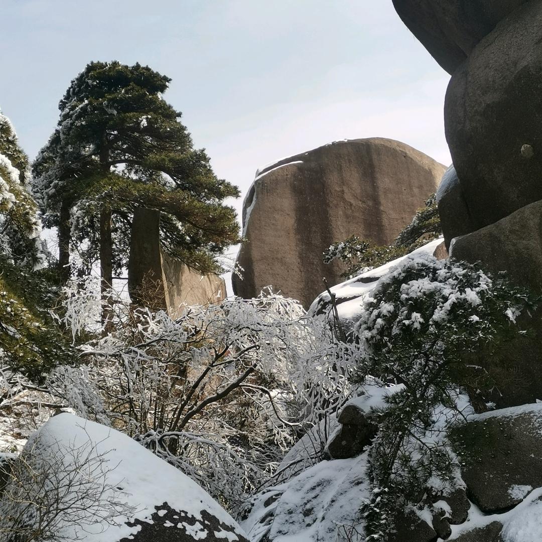 清梦