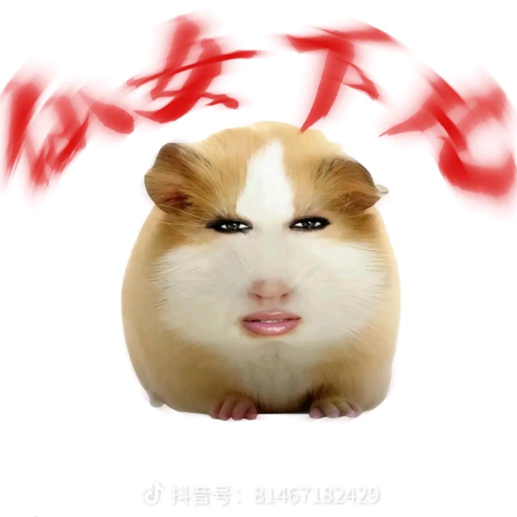 猪妞