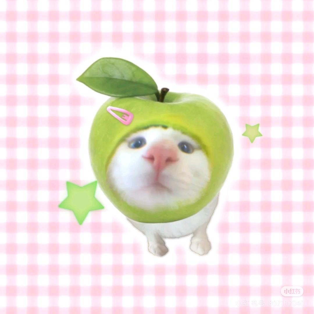 耶耶卷