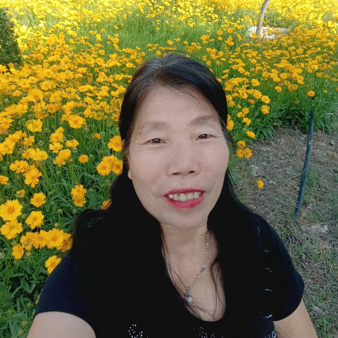 沂南兰兰