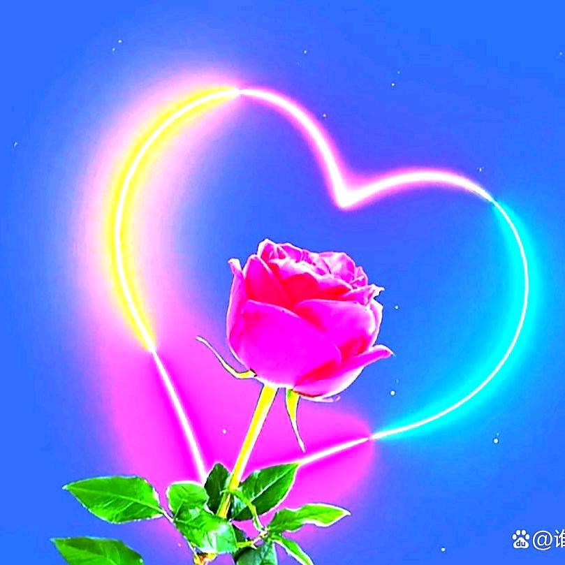 玻璃仙子