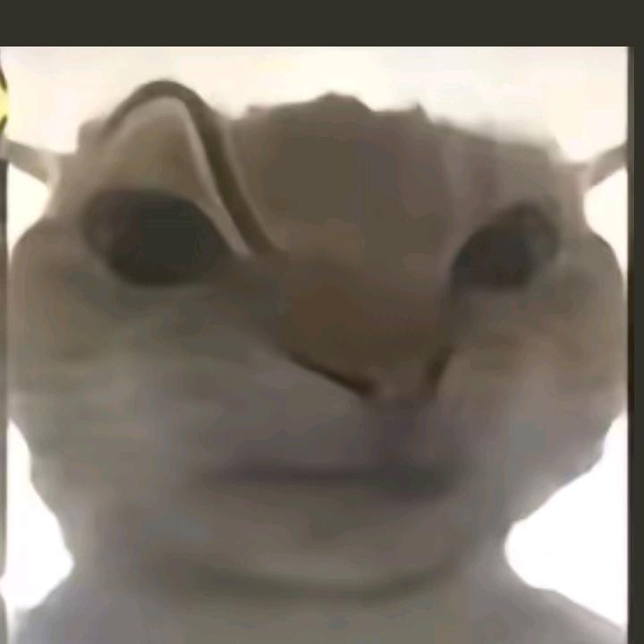 海边听ᵏᵃʳʳʸ=火影忍者