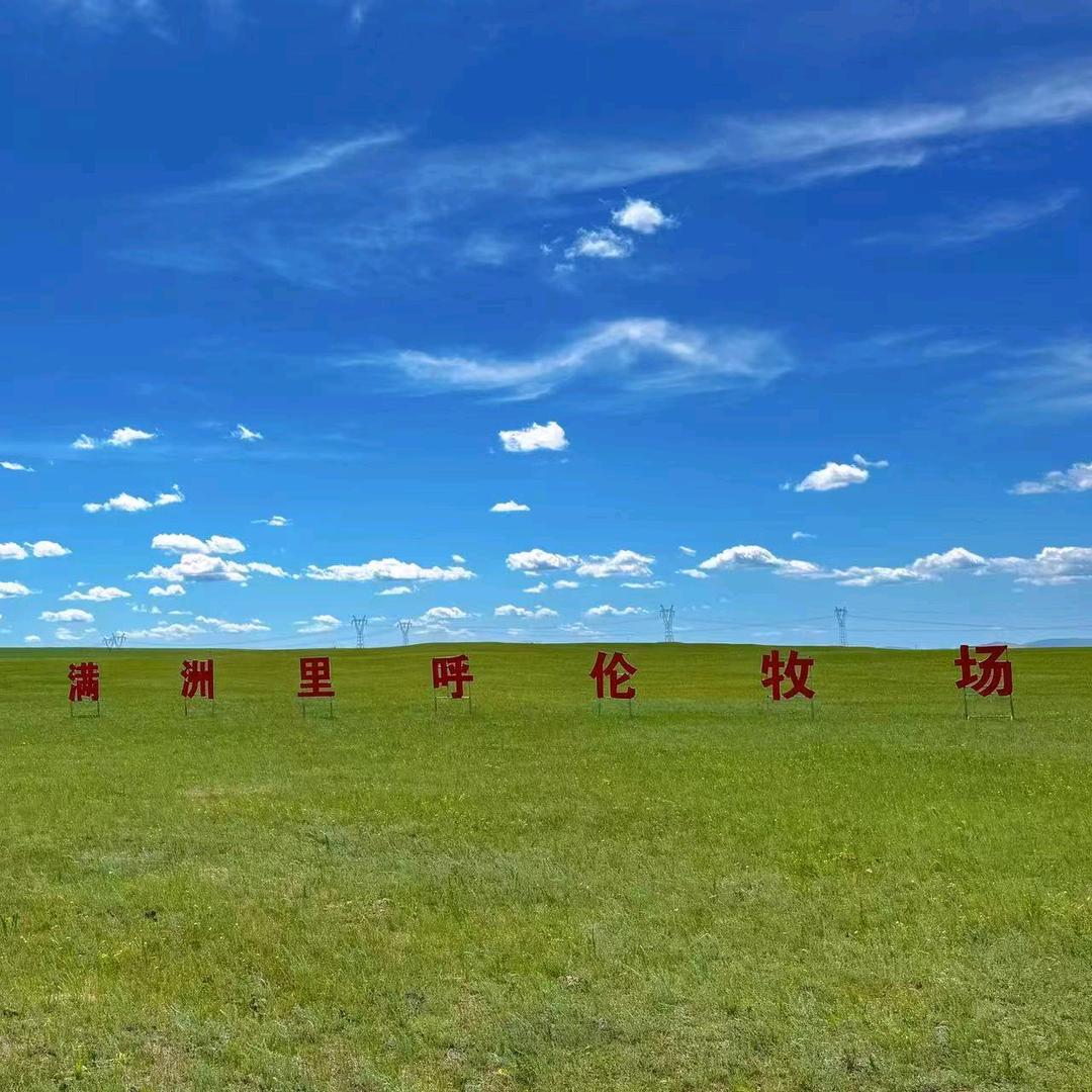 满洲里呼伦牧场