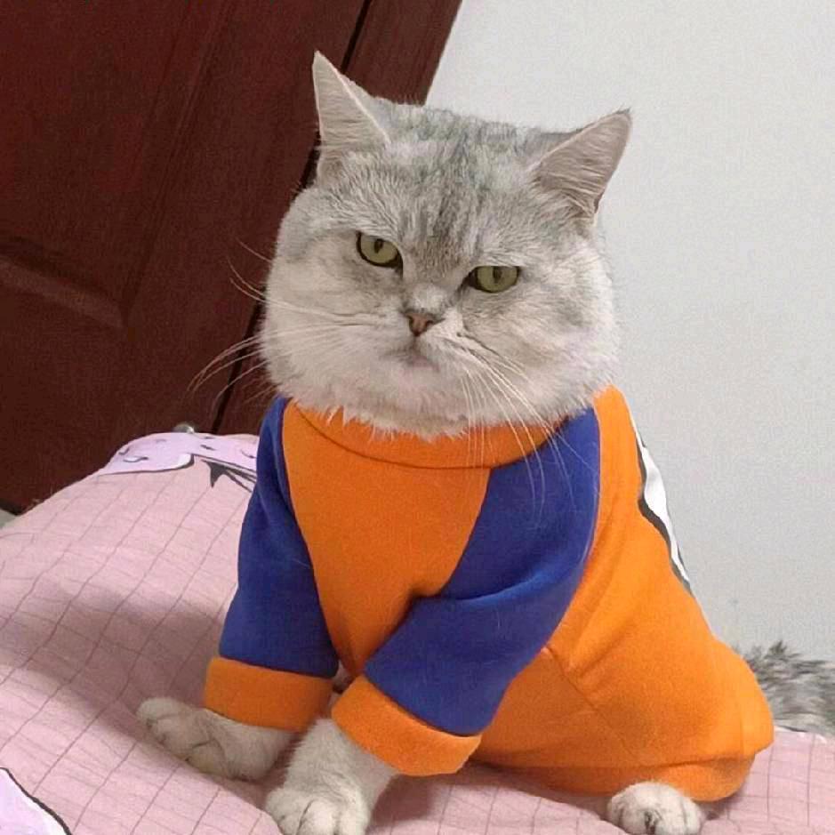 🐈国家一级保护废物、