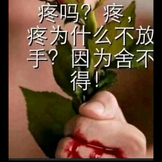 苦中难言😭😭