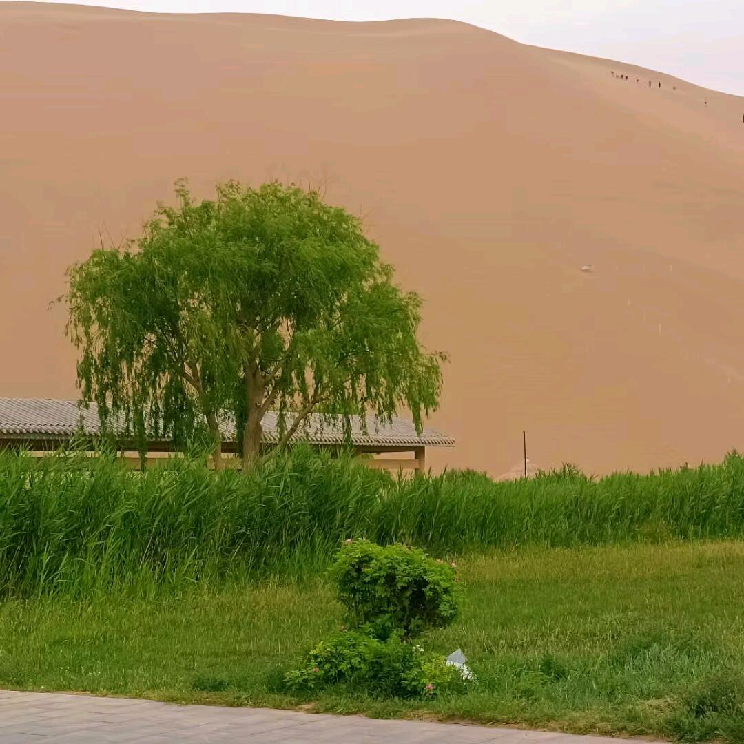 远山是你