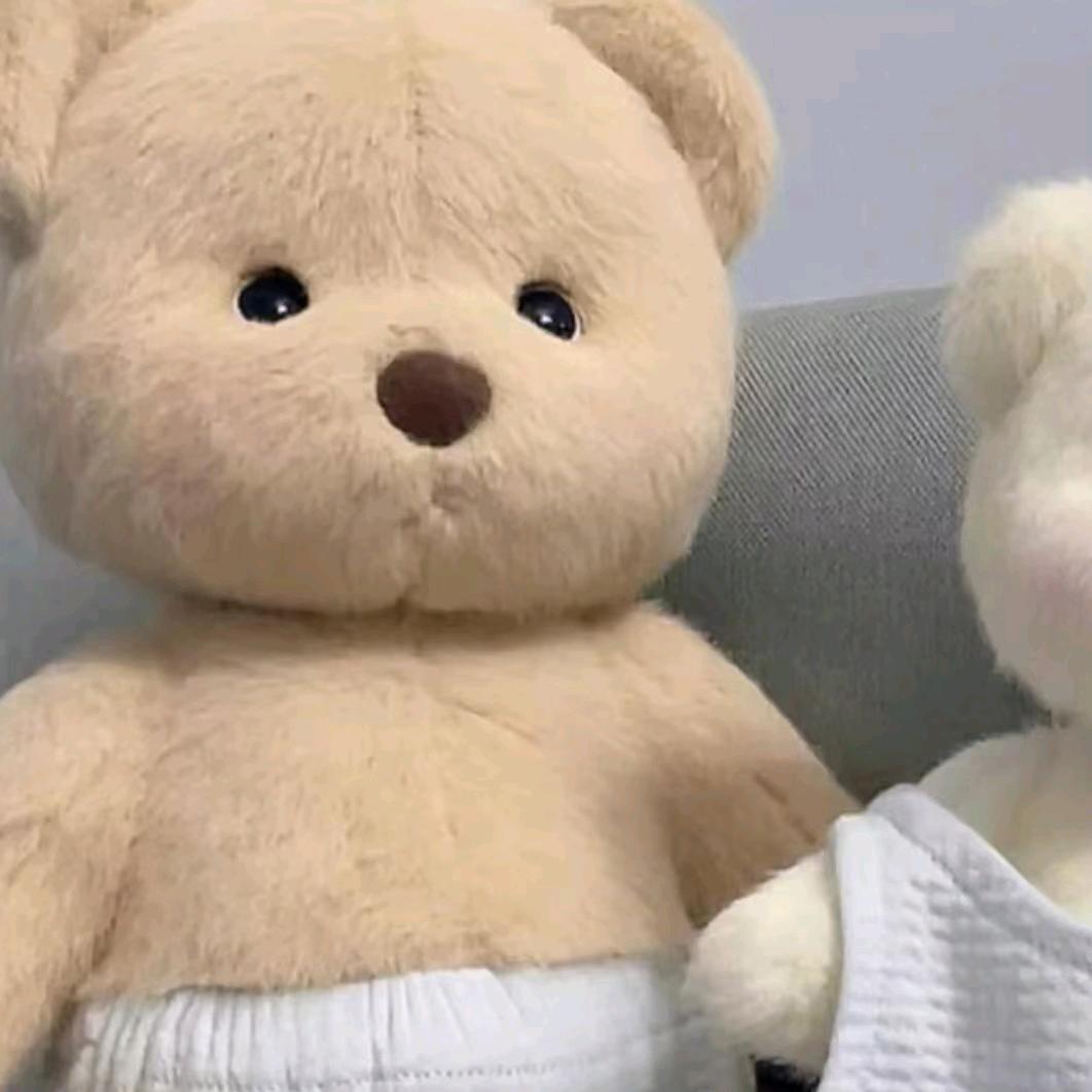 年少不该太多情