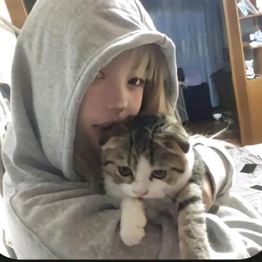 酸奶不吃鱼.🐟