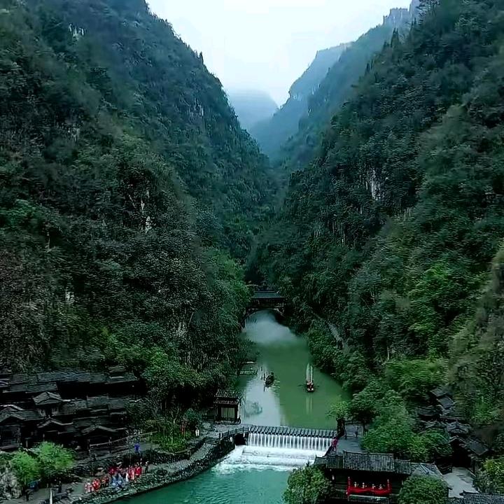 花心