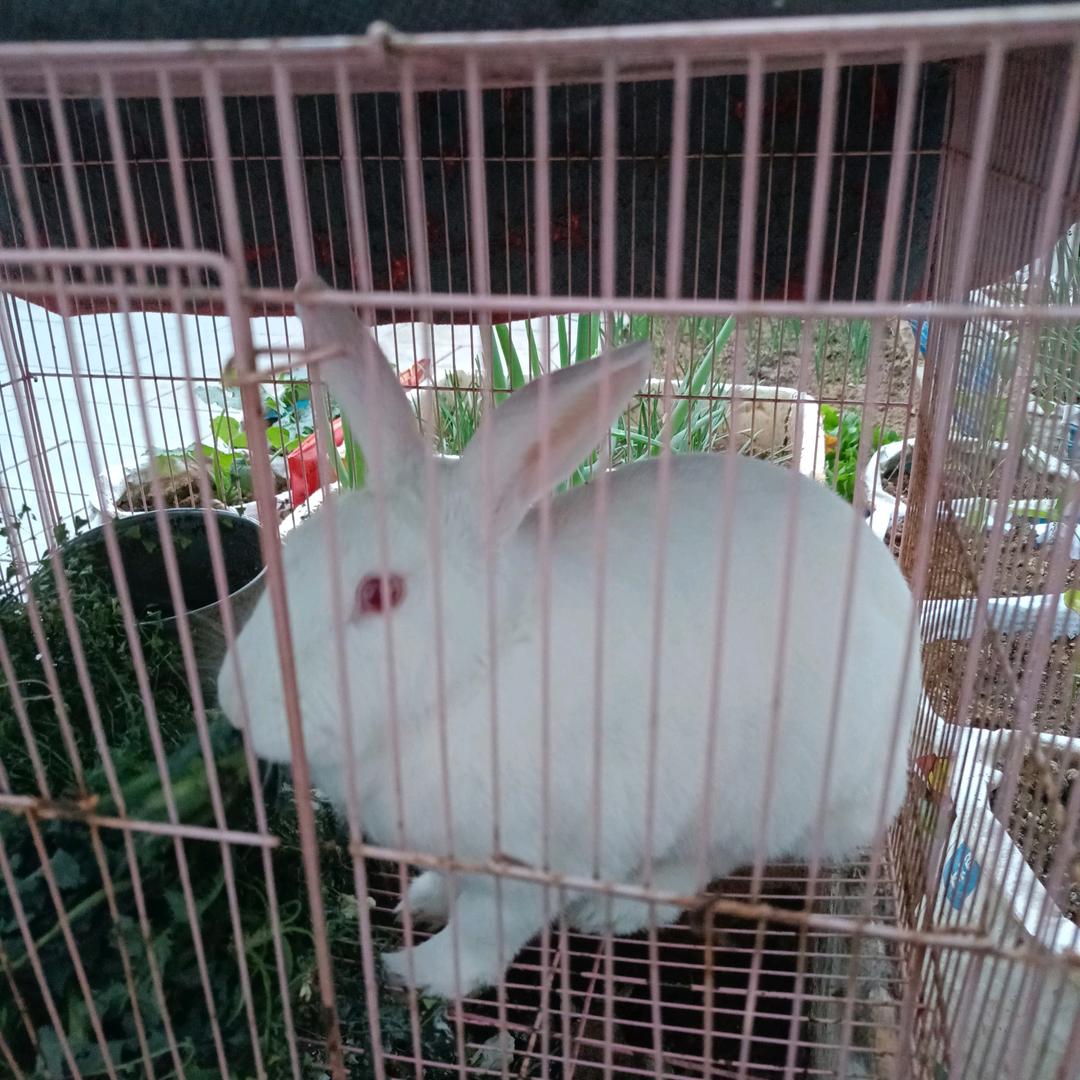 幸福一生
