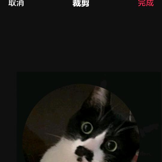 ～为你许愿～