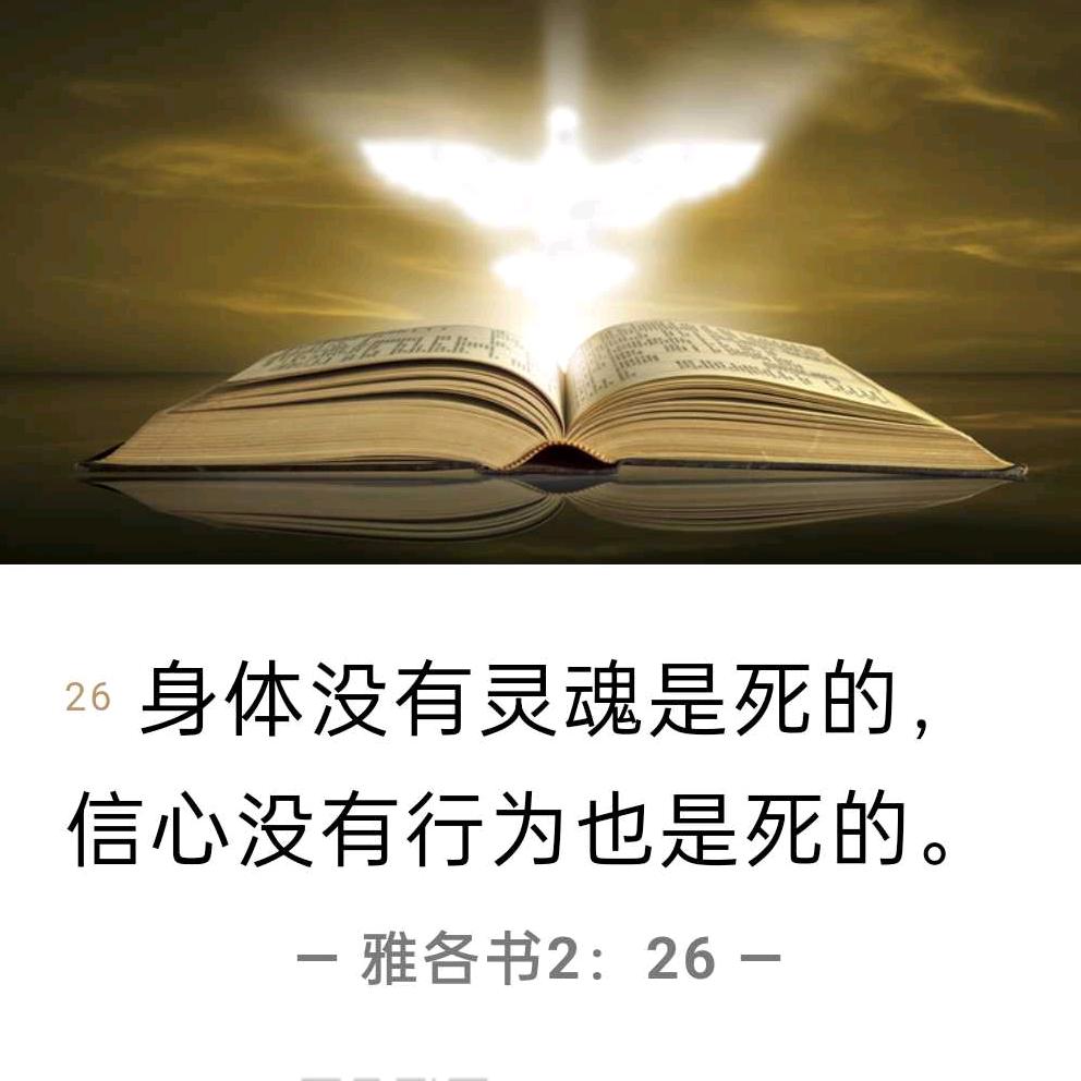 忘忧草
