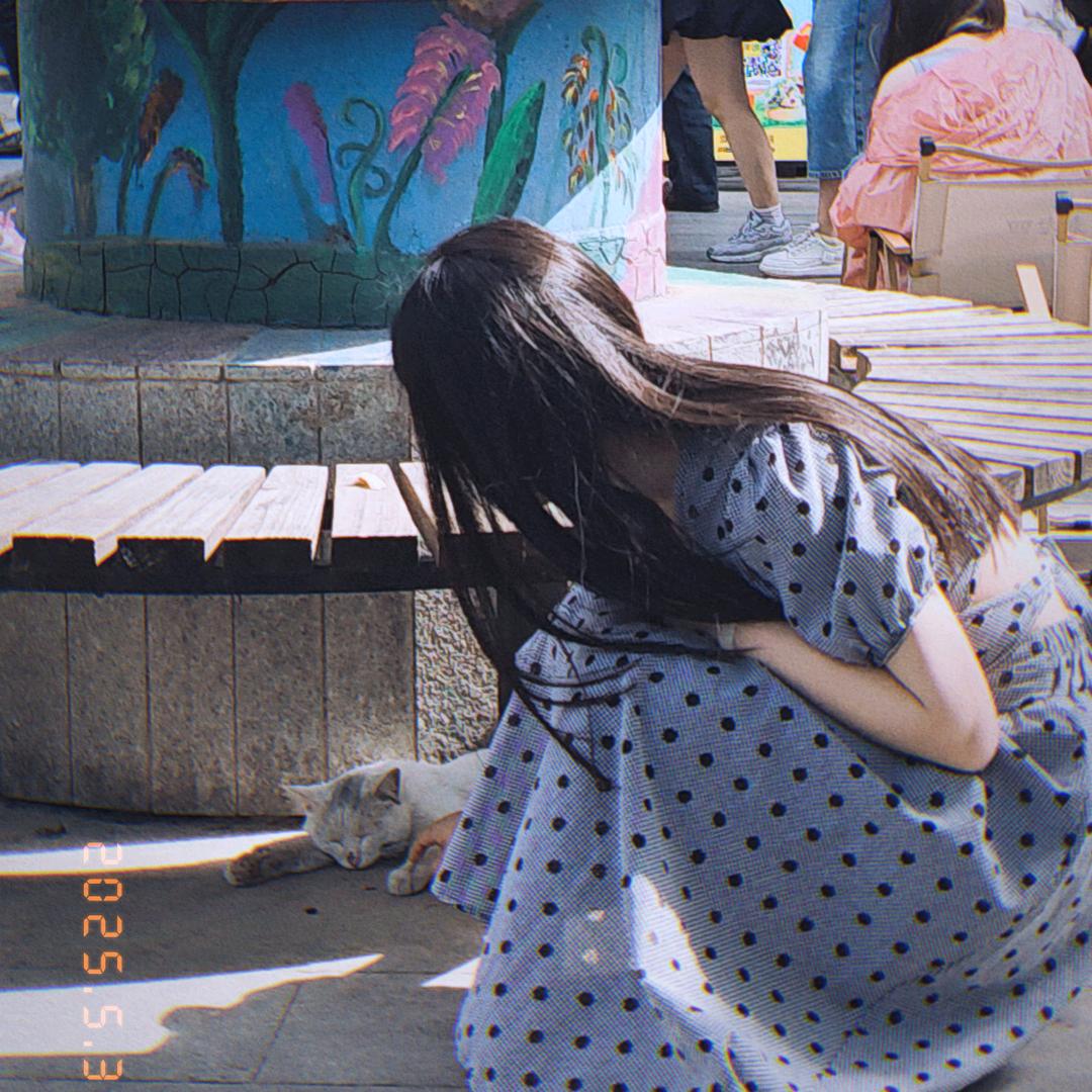 贰拾肆