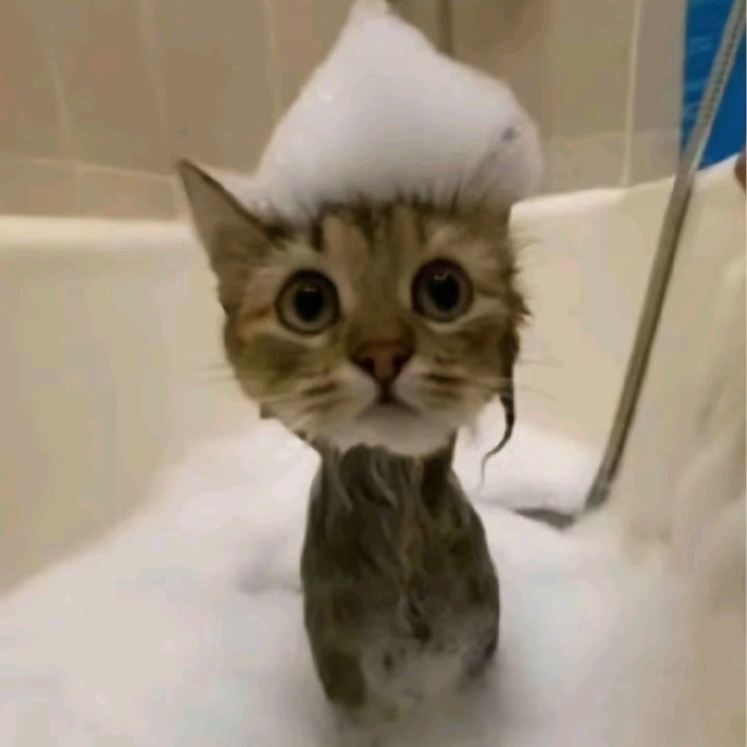 一碗疯狂的螺蛳粉