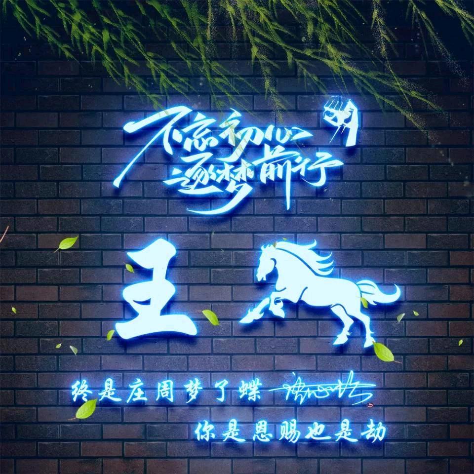 鸿鹄520
