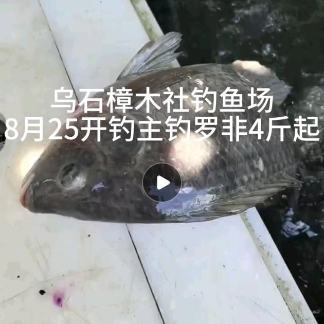 乌石街钓鱼场