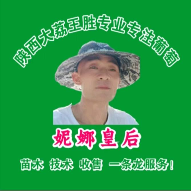 陕西大荔王胜