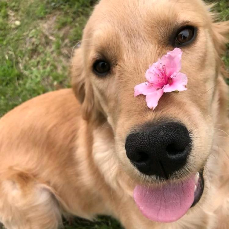 城市便捷枣阳大汉茂店