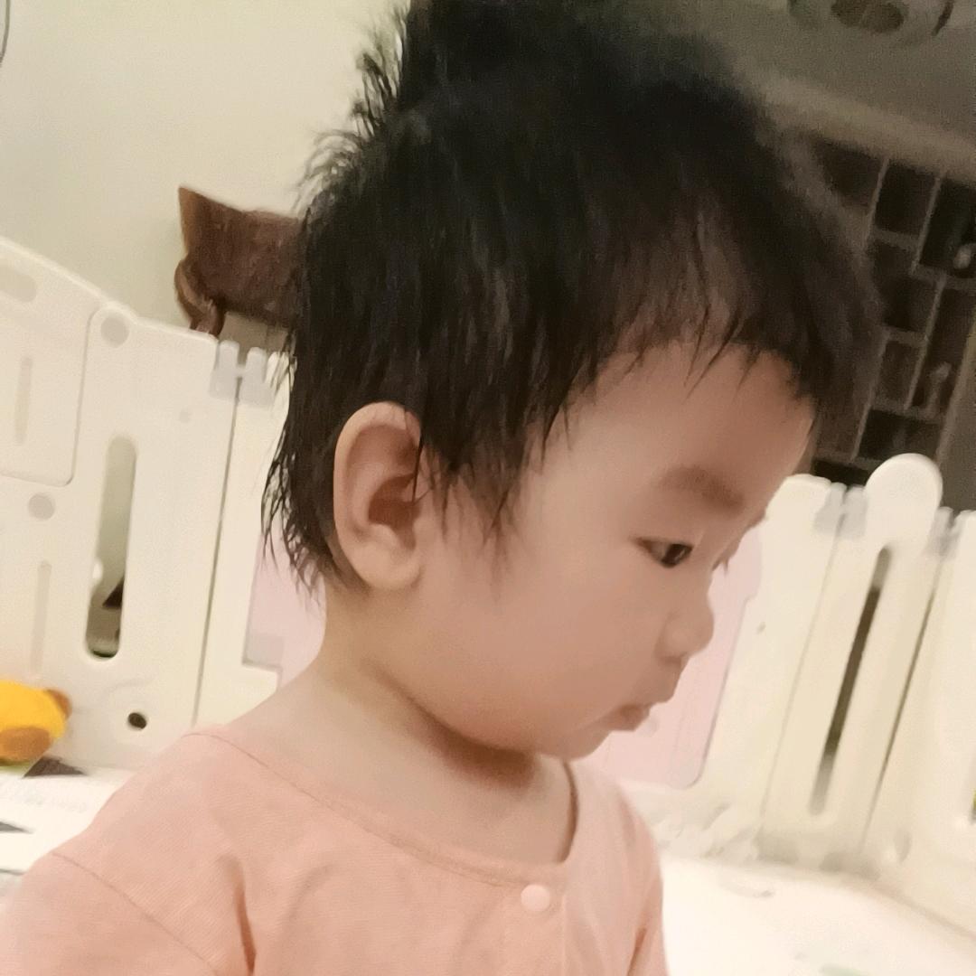 昕昕日常