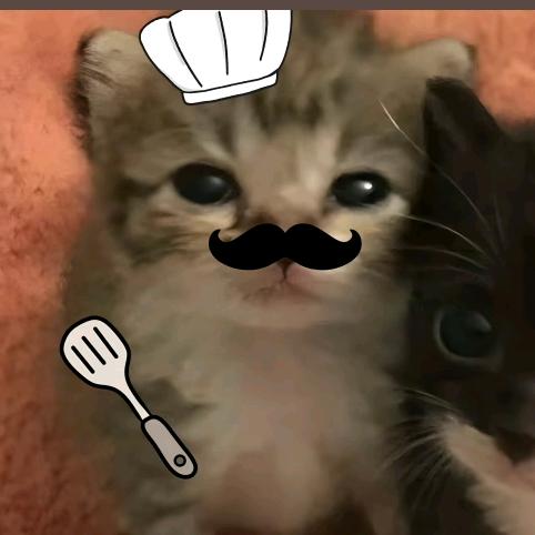 我爱吃鲜虾鱼板面