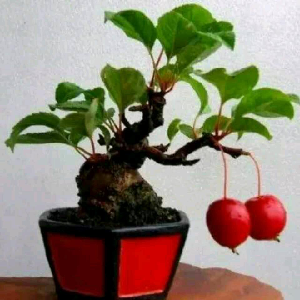 用户静悄悄的