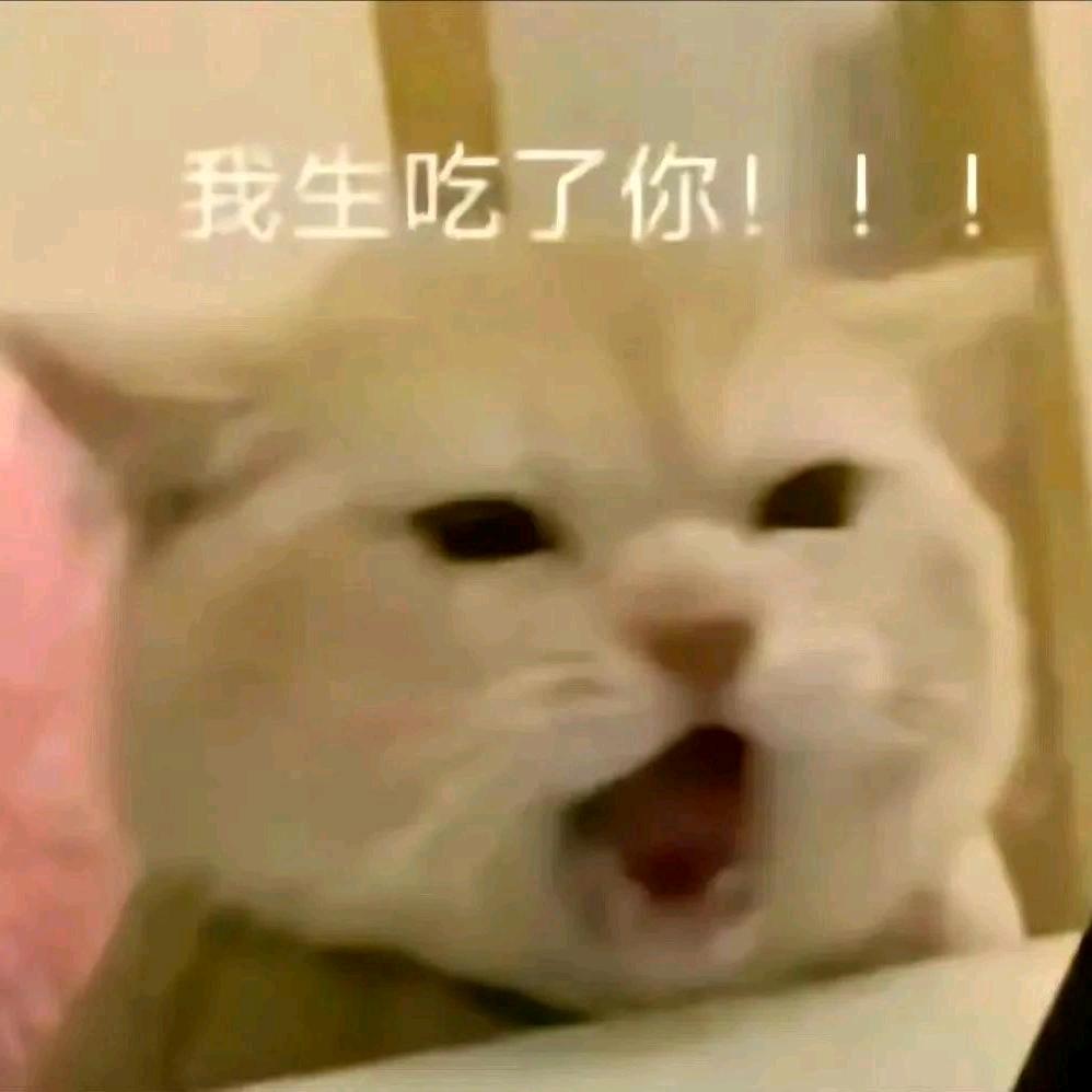 小荔只只只