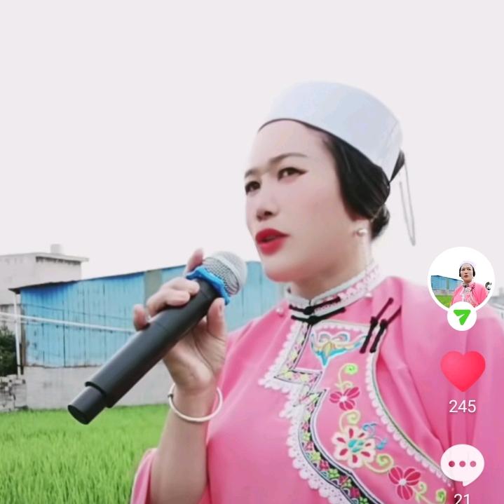 情歌雪莲