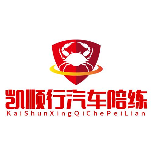 太原汽车陪练【凯顺行】【任教练】大号