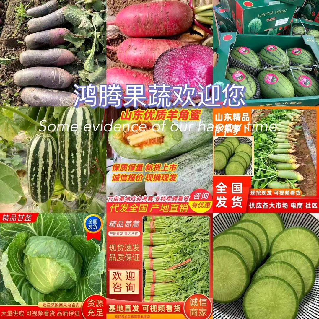 潍坊市寒亭区众合果蔬种植专业合作社