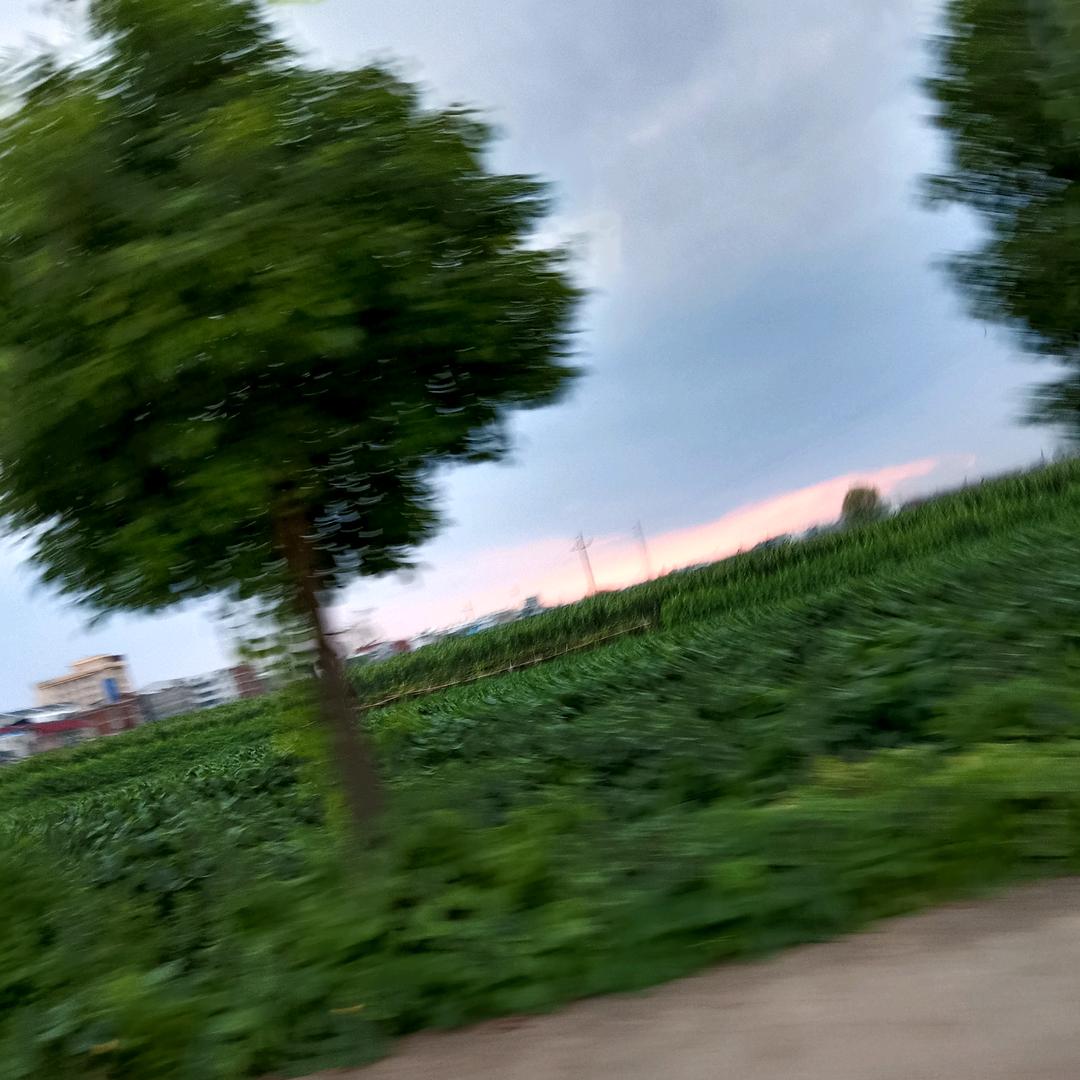 静等花开
