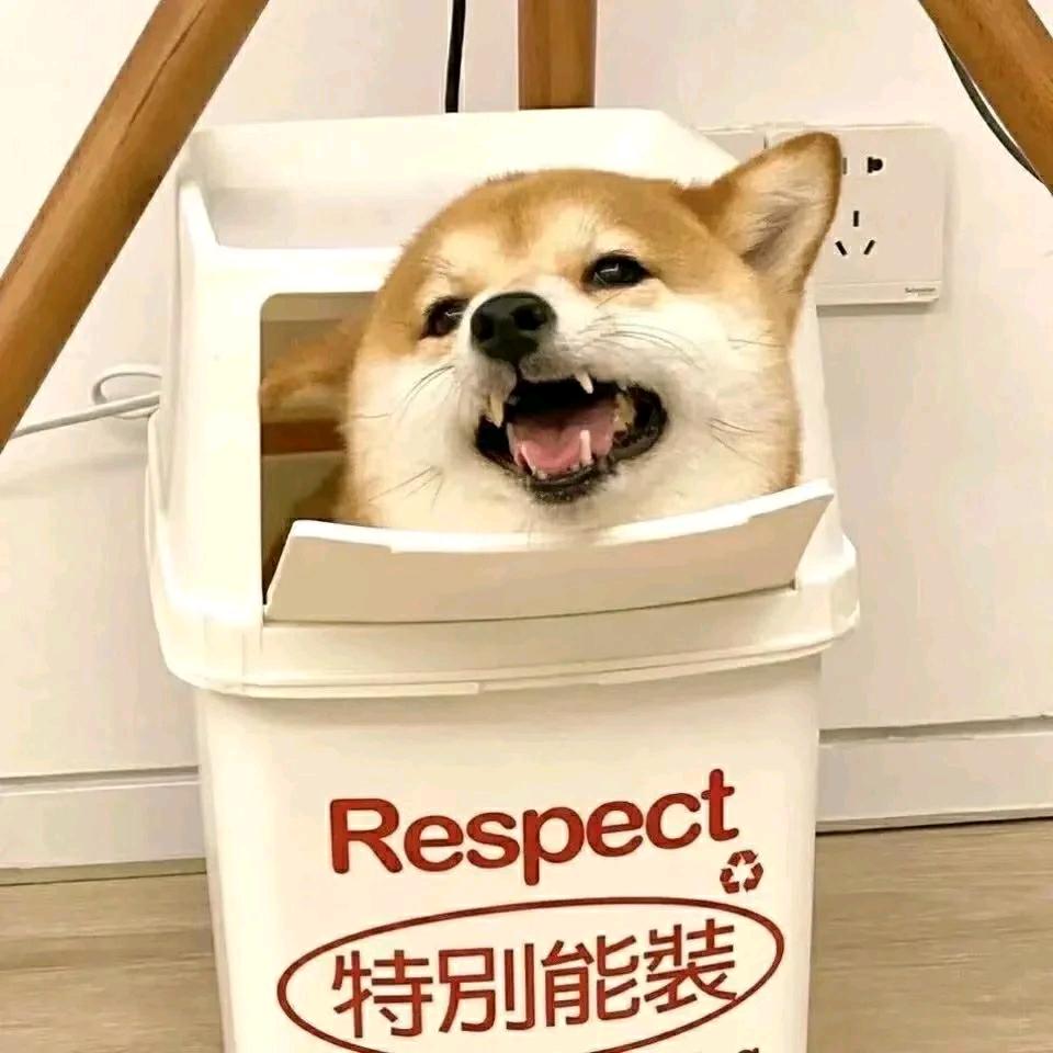 南风过境.