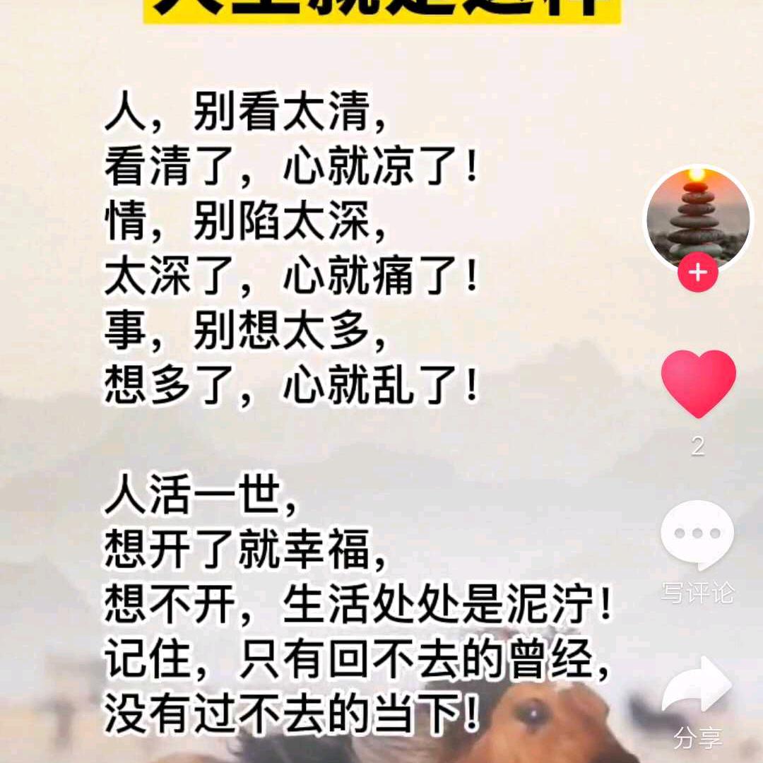 开心百合