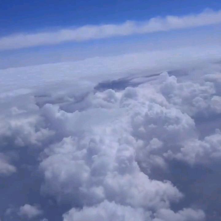 小爰