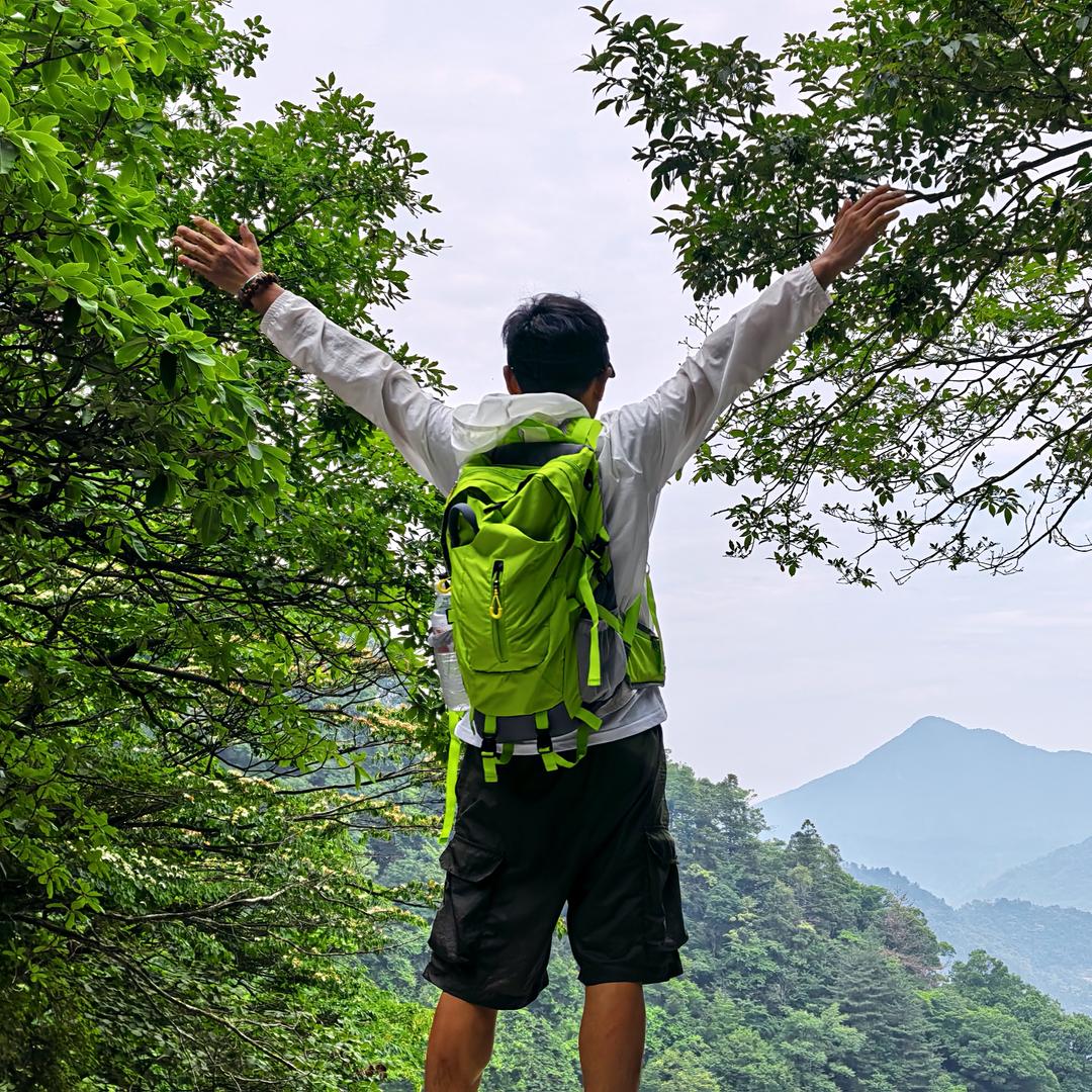 SOLO自由客