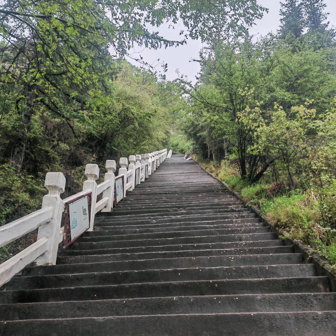 幸运相随