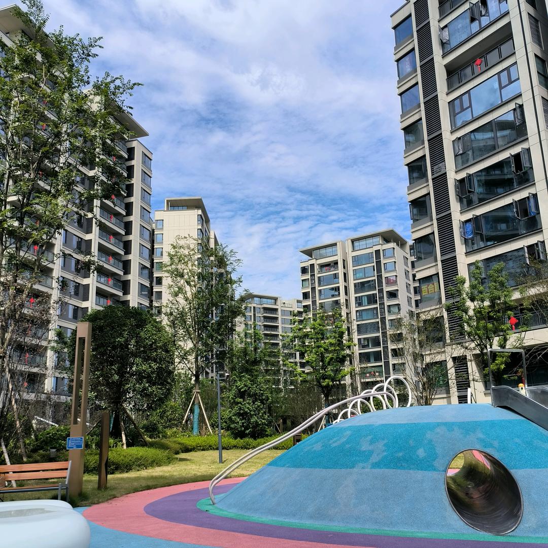 阿林带你看成都