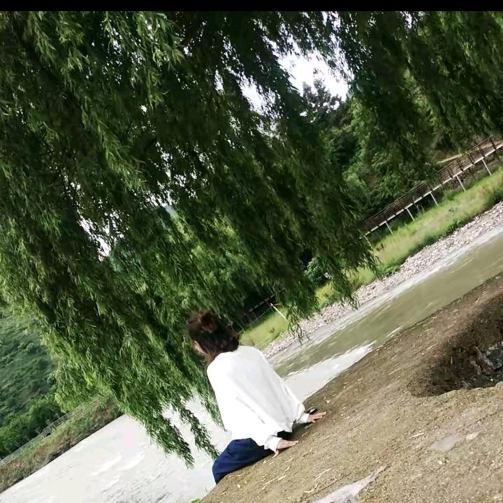 风吟无痕
