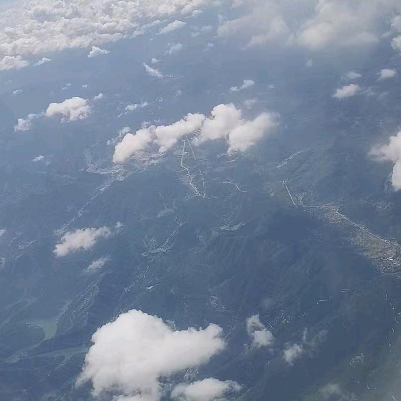 树影摇月亮