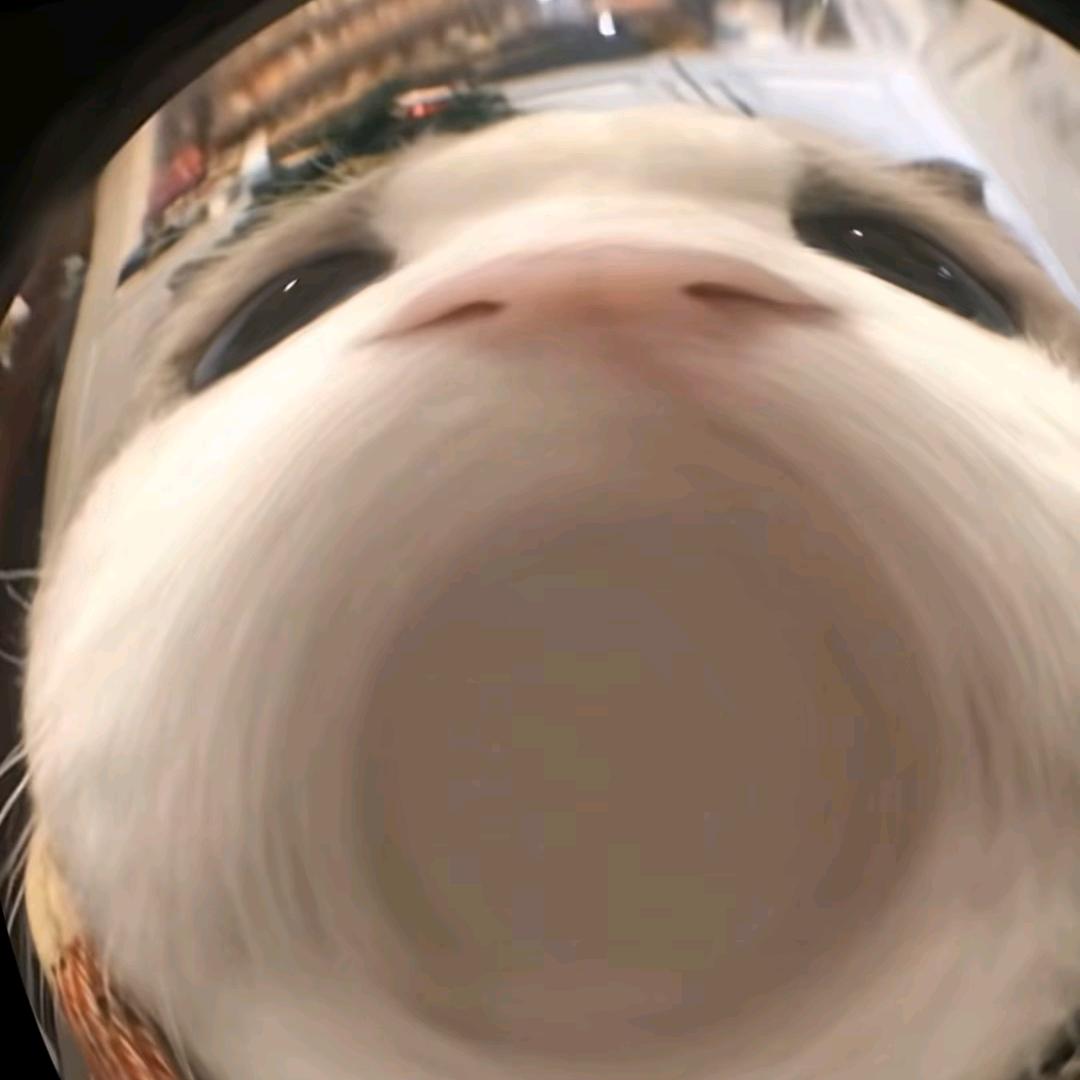 老邮局
