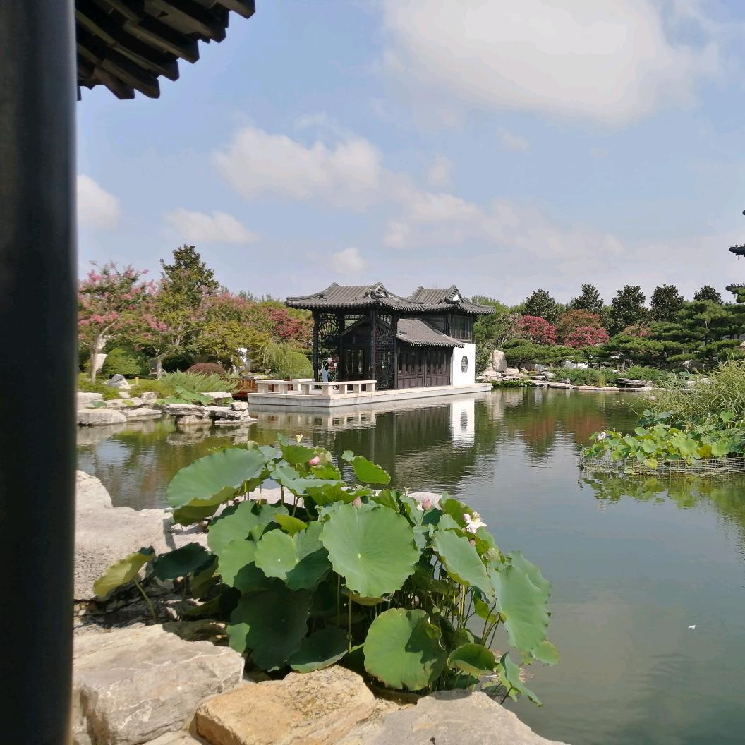 虎跃龙骧