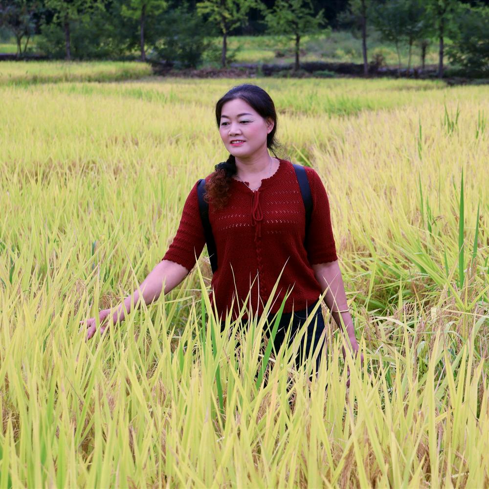 水明月     喜云