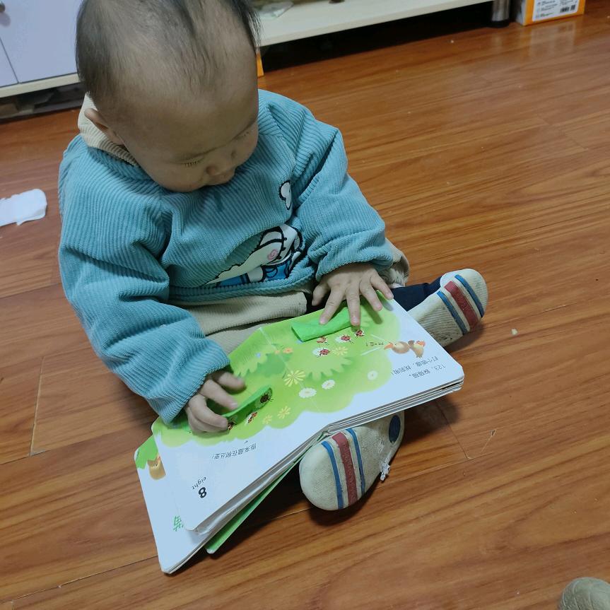 缘梦书单