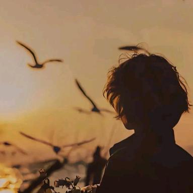 可能是月亮不会眨眼