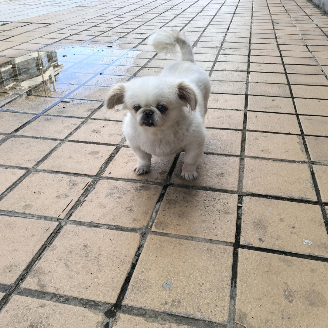 开棋牌室的冤种小老板