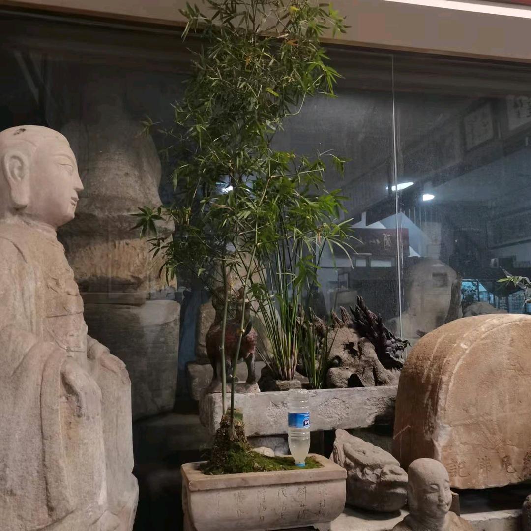 石头記六哥19939333319