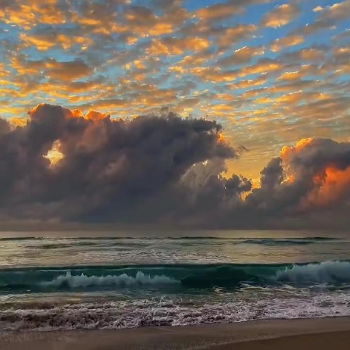 想看海-