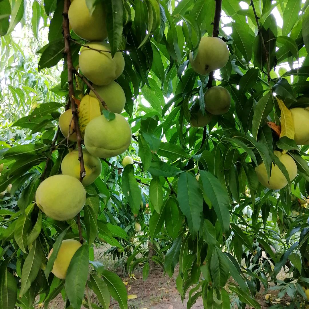 人生变迁听天由命