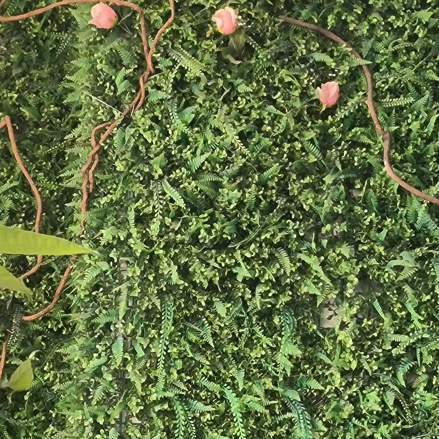 何劲松与竹立科技臻选阁