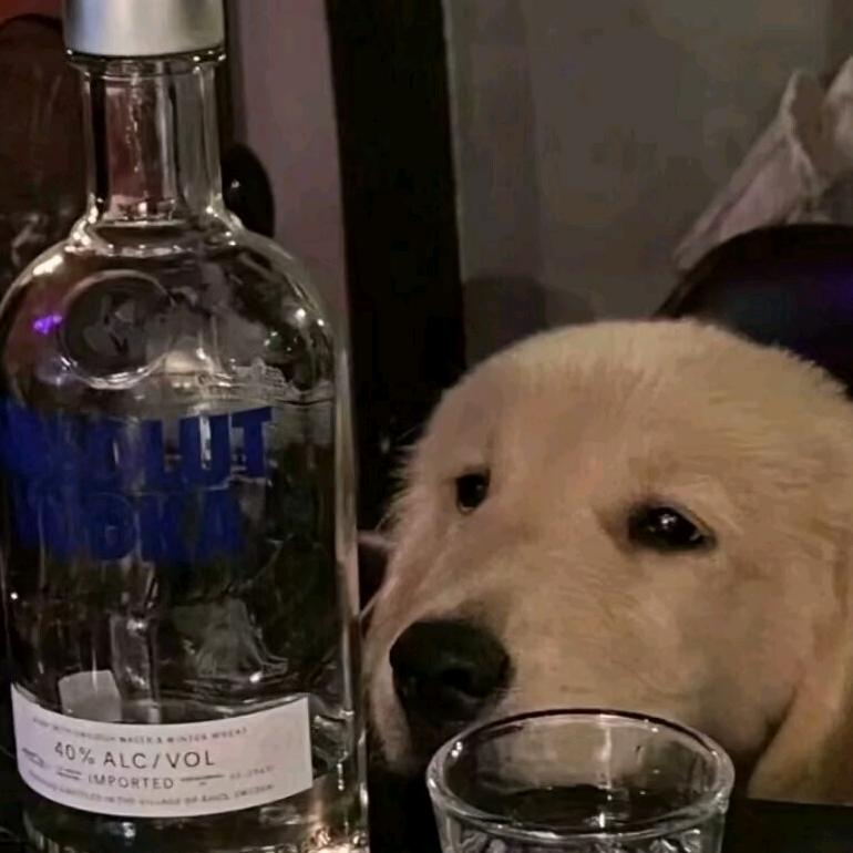 小明友不爱回消息