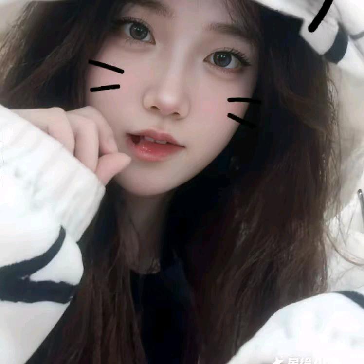 糕冷小美.